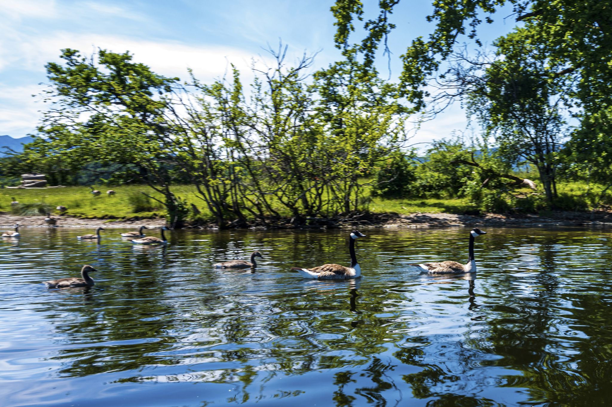 Kajaktour Staffelsee 12.06.22
